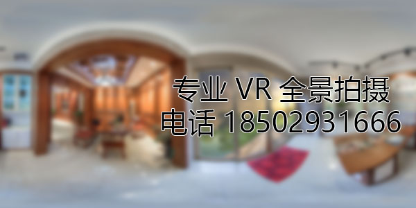 鲁甸VR全景技术在未来可能的发展方向和应用领域?